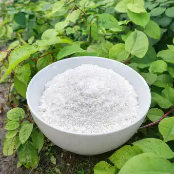 How Resveratrol Powder Is Used in Anti-Aging R&D